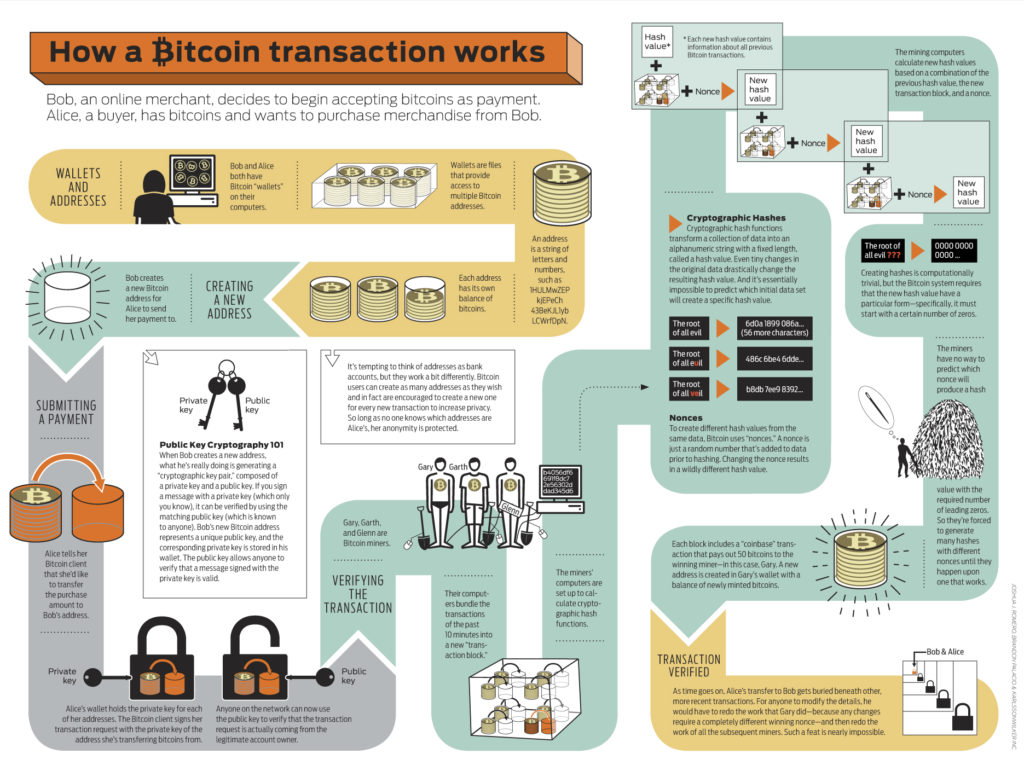 Do you think cryptocurrencies are the future?