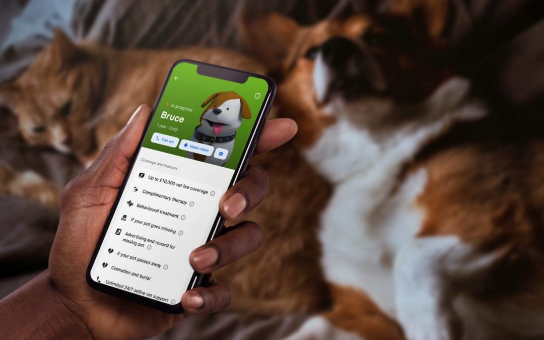 Kisállat biztosítást vezet be a Revolut