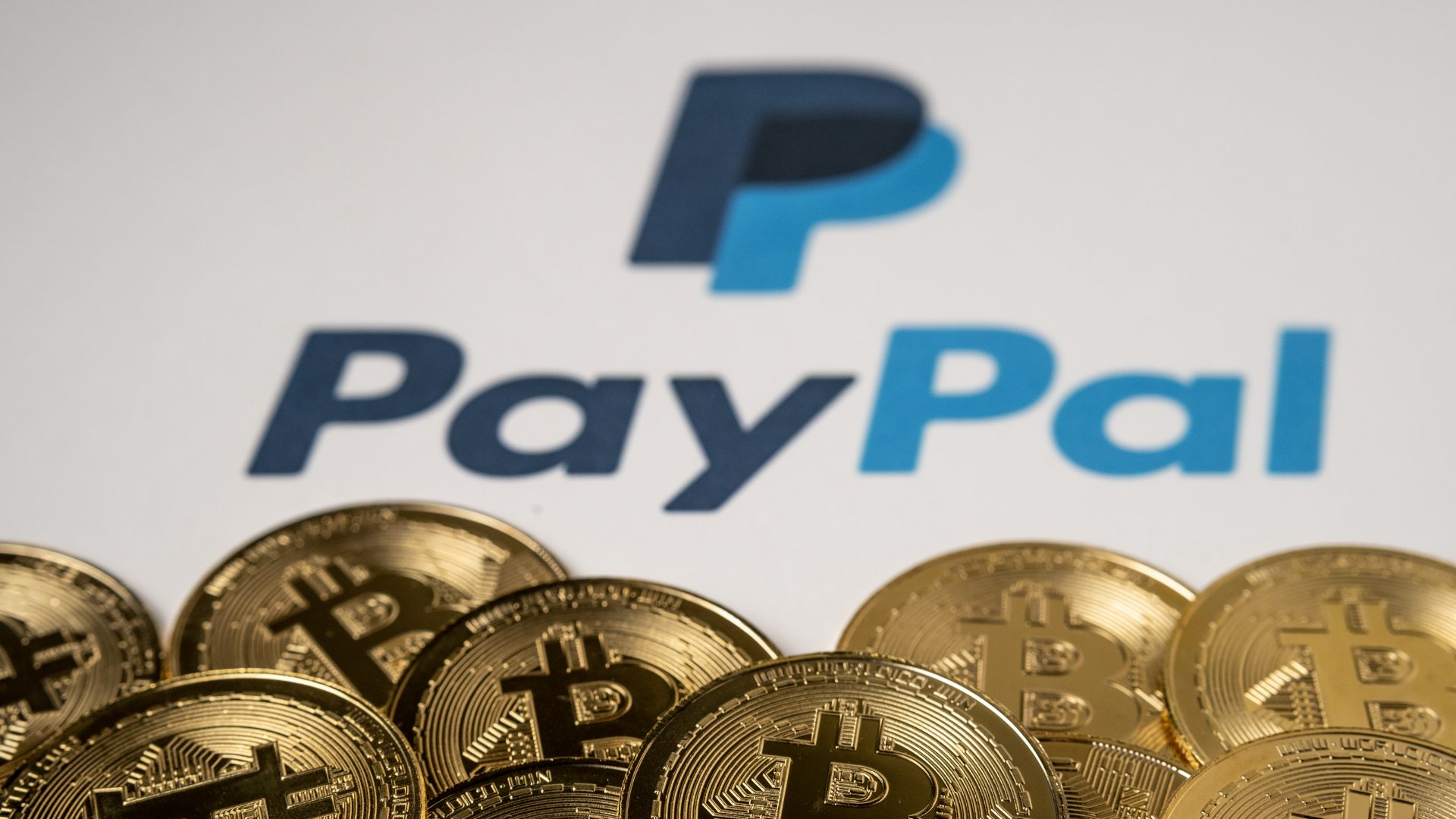 paypal stablecoin stabilcoin